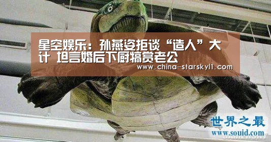 星空娱乐:孙燕姿拒谈“造人”大计 坦言婚后下厨犒赏老公