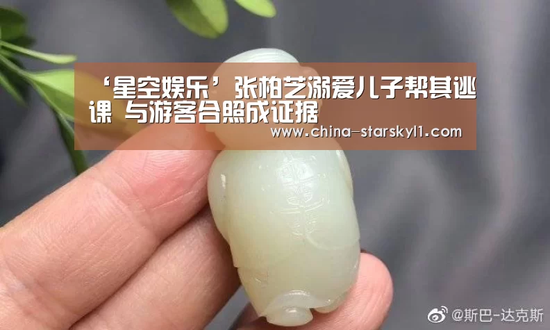‘星空娱乐’张柏芝溺爱儿子帮其逃课 与游客合照成证据(图4) 星空娱乐