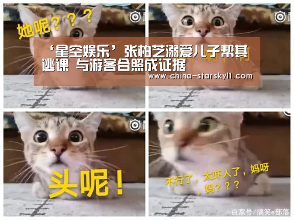 ‘星空娱乐’张柏芝溺爱儿子帮其逃课 与游客合照成证据(图3) 星空娱乐