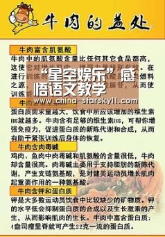 星空娱乐
