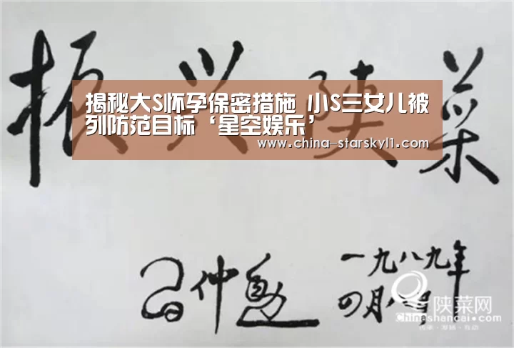揭秘大S怀孕保密措施 小S三女儿被列防范目标‘星空娱乐’(图2) 星空娱乐