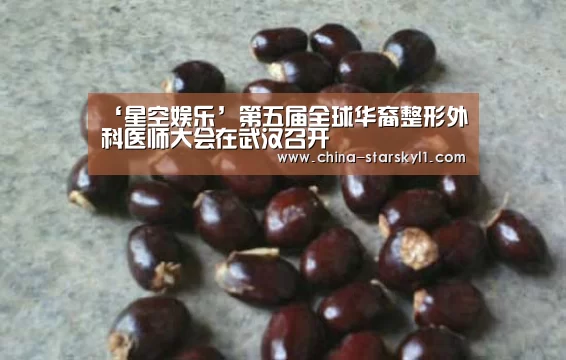 ‘星空娱乐’第五届全球华裔整形外科医师大会在武汉召开(图2) 星空娱乐